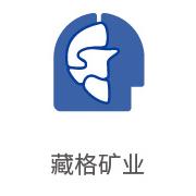 银河贵宾会合作伙伴：藏格矿业